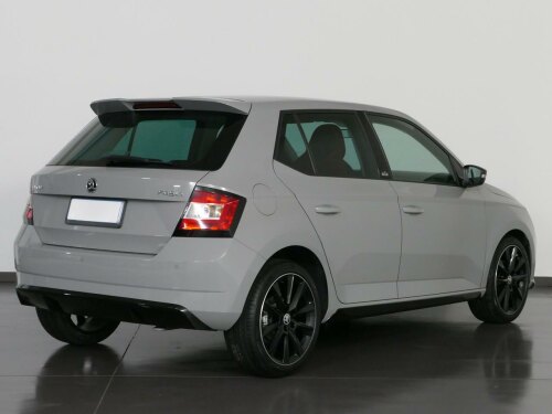 skoda fabia 1.4 tdi montecarlo