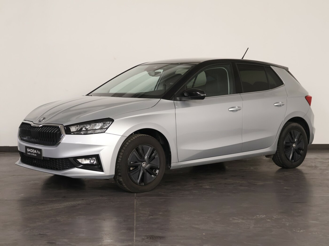 skoda fabia 1.0 tsi evo selection 115cv dsg usata